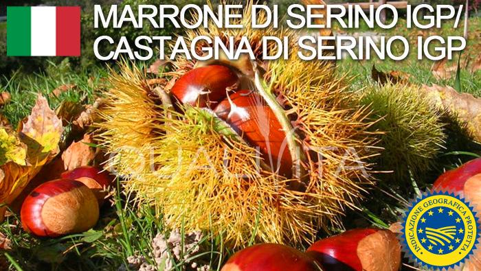 Castagna di Serino\Marrone di Serino