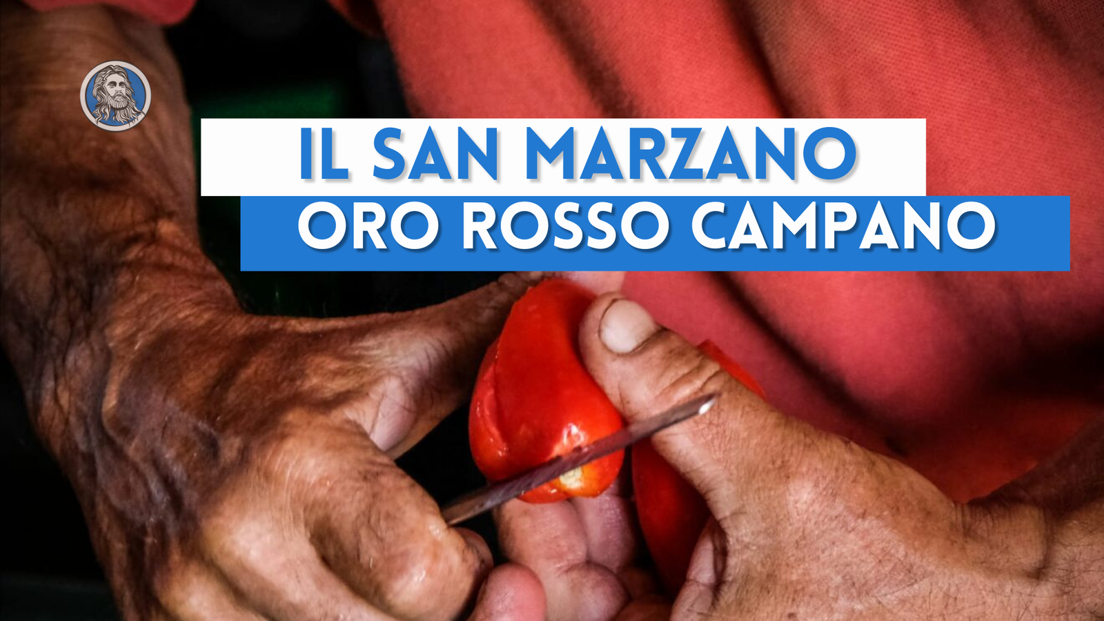 Il pomodoro San Marzano: l'oro rosso dell'Agro Nocerino-Sarnese