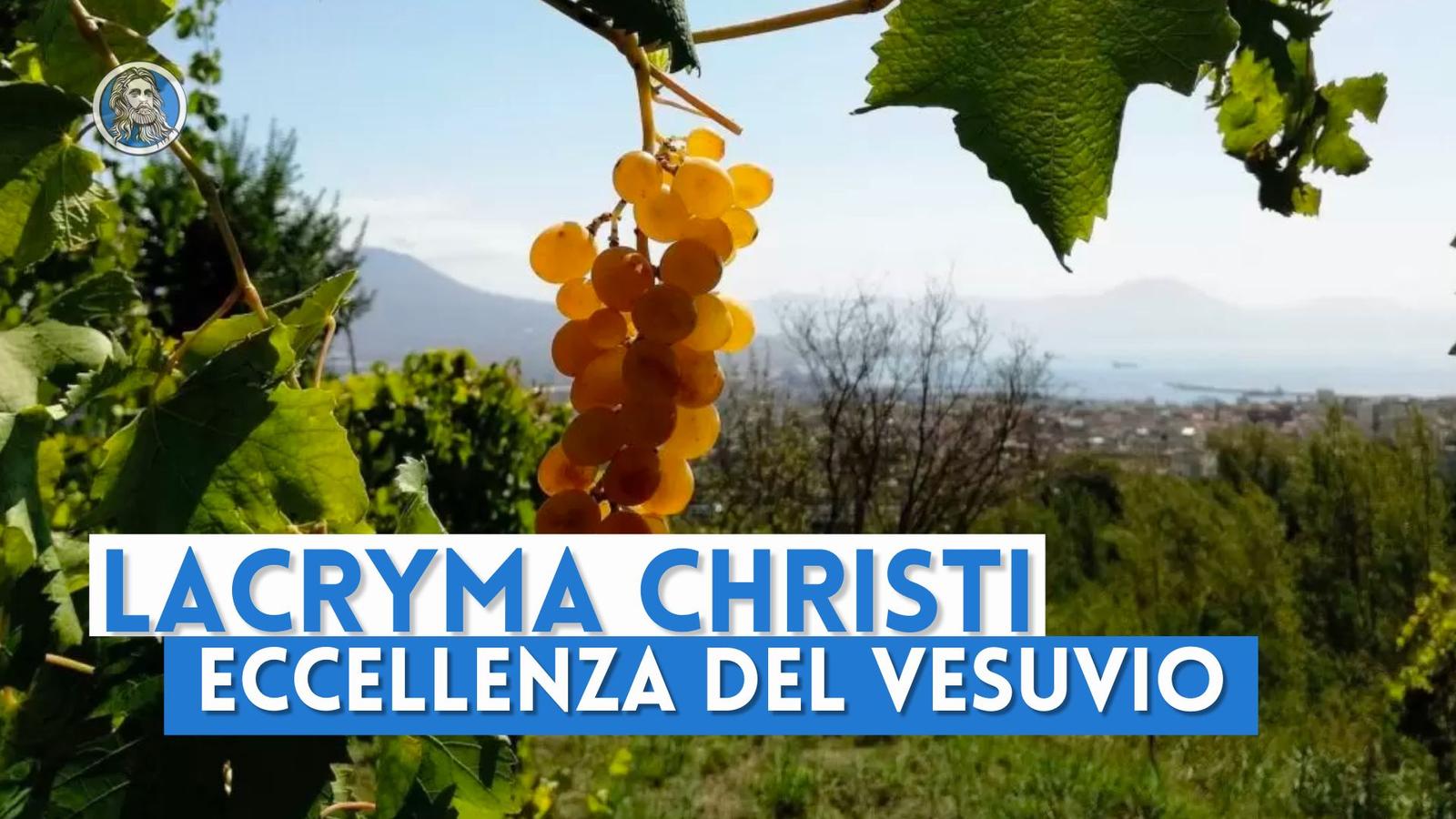 Lacryma Christi del Vesuvio: eccellenza enologica tra storia e leggenda
