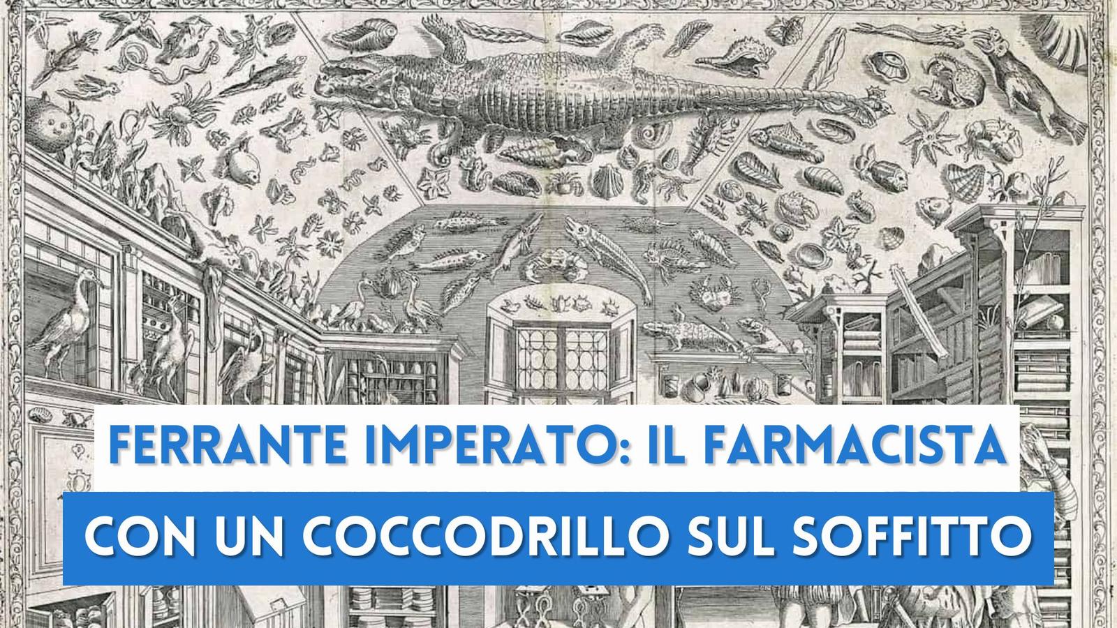 Ferrante Imperato: il farmacista napoletano che aveva un coccodrillo sul soffitto