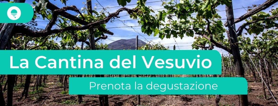 Lacryma Christi del Vesuvio : l'excellence œnologique entre histoire et légende