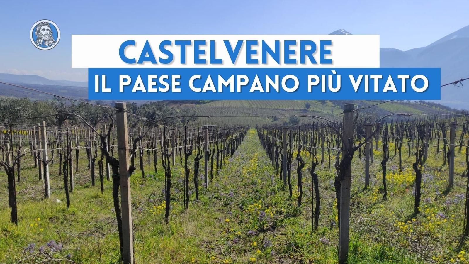 Castelvenere: il paese più vitato della Campania