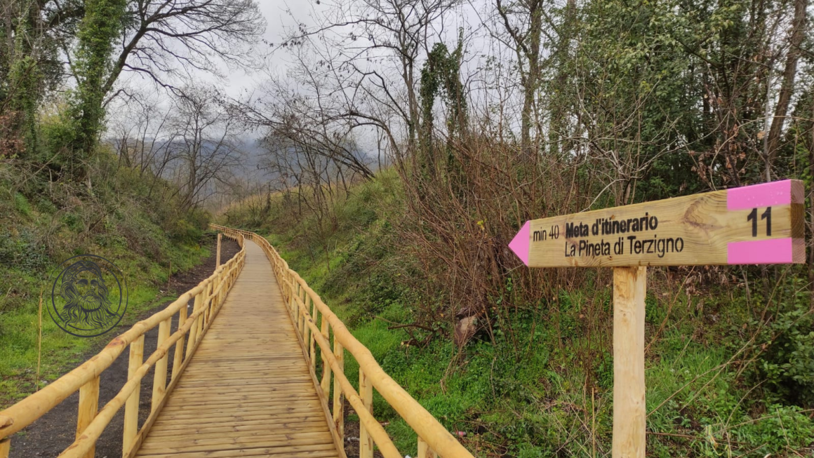 La Pineta di Terzigno: un sentiero per tutti ai piedi del Vesuvio