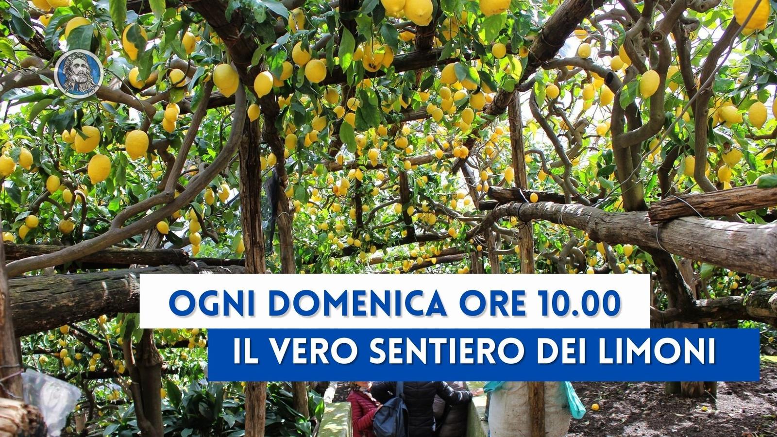 Tour e visite con Storie di Napoli 10 Tour e visite con Storie di Napoli