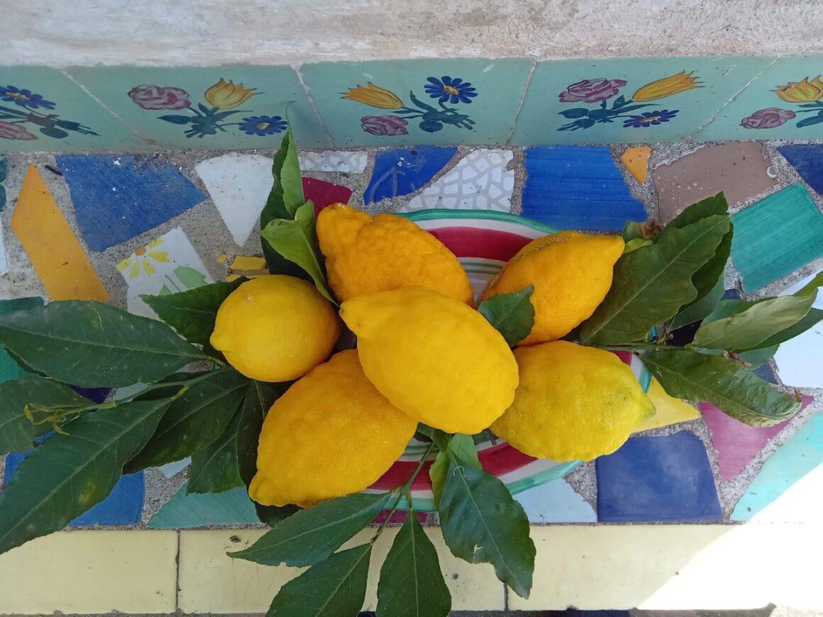 limone in Campania